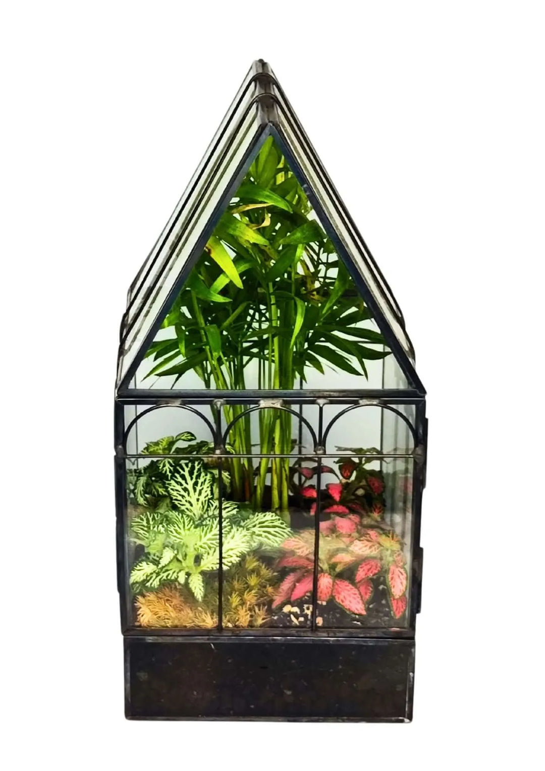 Terrarium geometrico in vetro e ferro con composizione di piante da interno