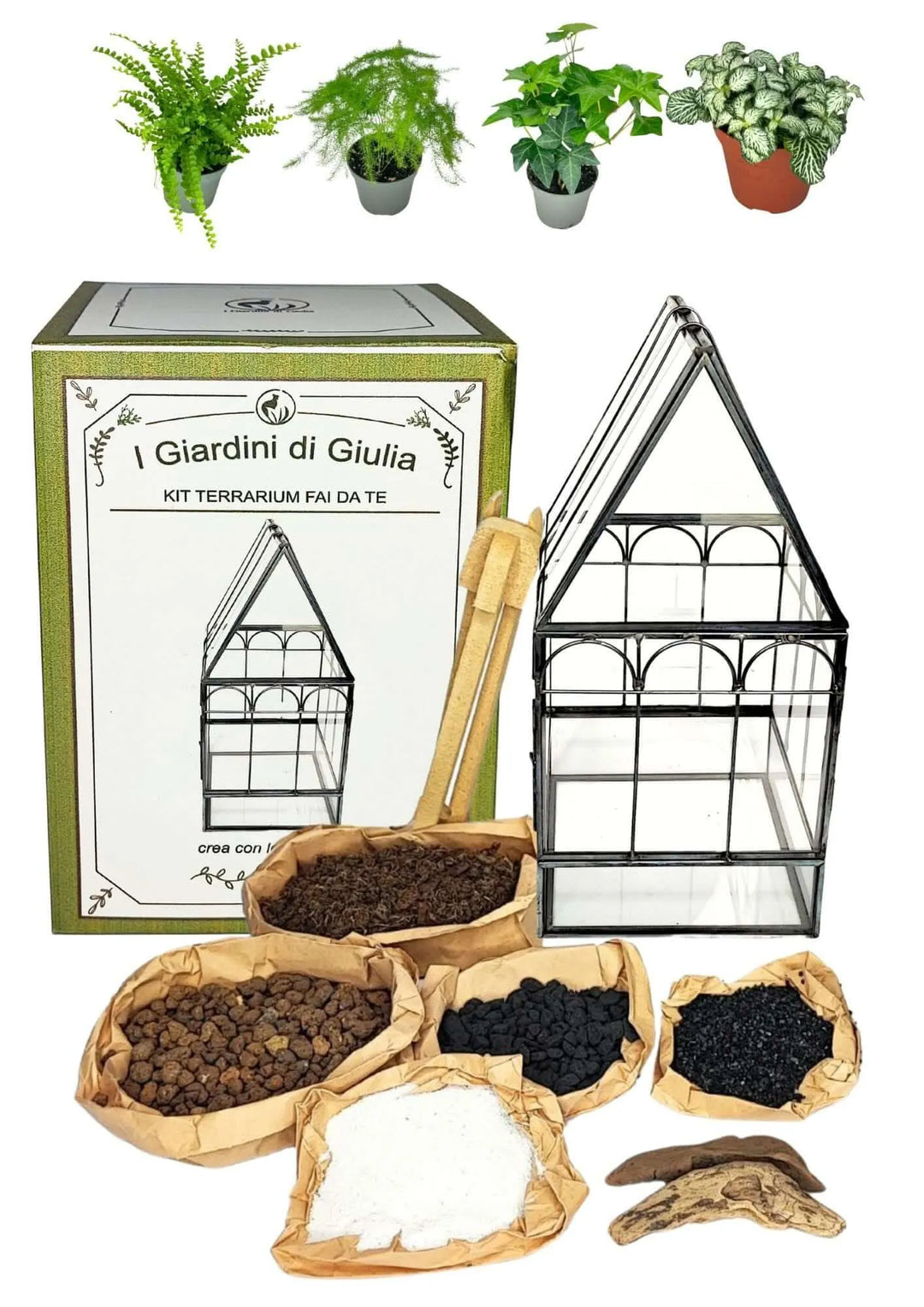 Kit Terrarium Fai da Te Geometrico con piante, attrezzi e substrati