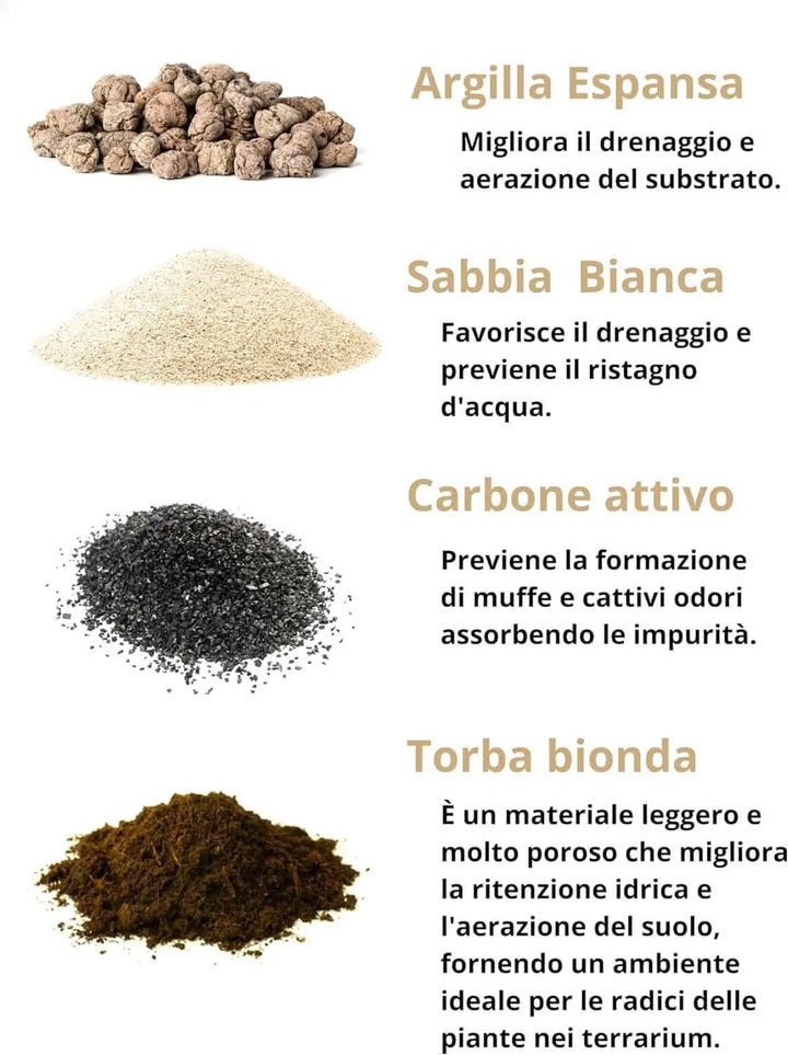 Substrati per terrarium fai da te: argilla espansa, sabbia, carbone attivo, torba