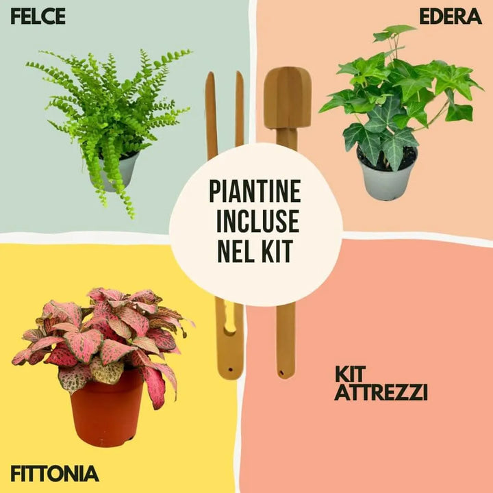 Kit Terrarium Fai Da Te Monica - primo piano del substrato di carbone attivo e argilla espansa