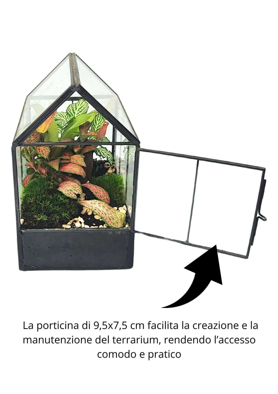 Kit Terrarium Fai Da Te Monica - confezione del kit terrarium fai da te pronta per il regalo