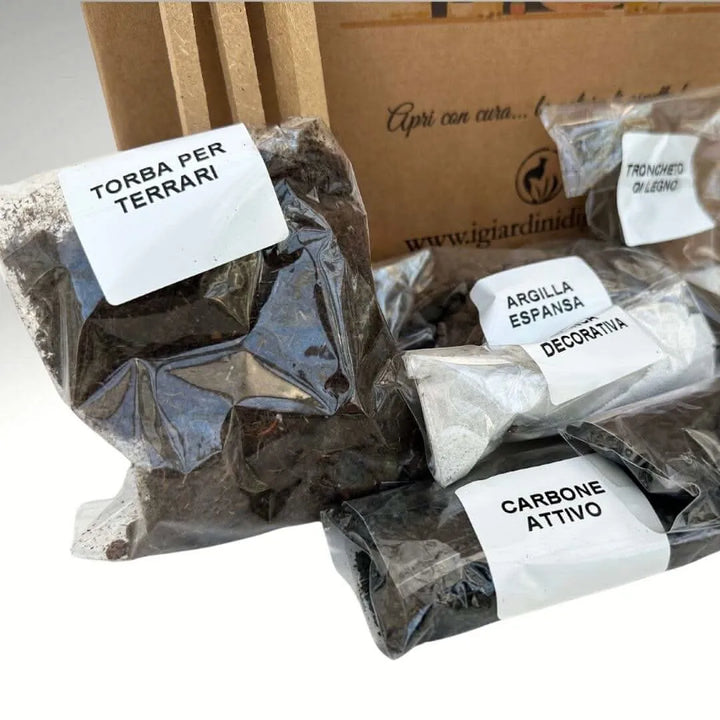 Kit Terrarium Fai Da Te Monica - contenitore geometrico in vetro e ferro nero vuoto
