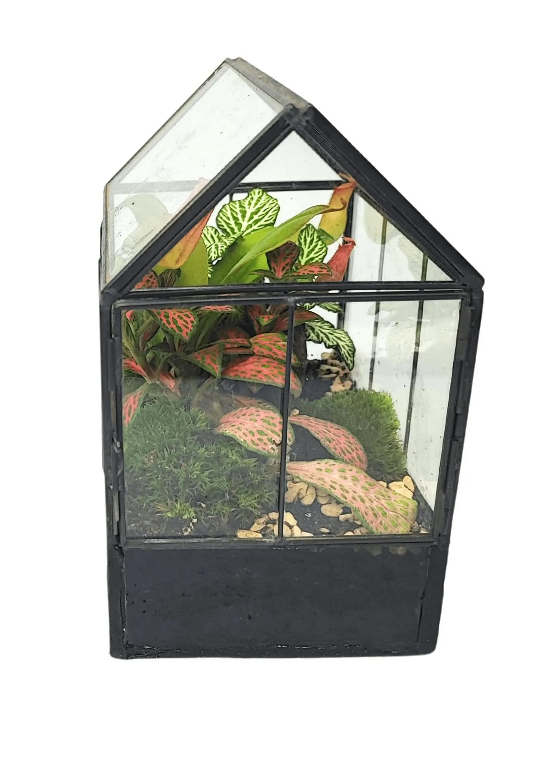 Kit Terrarium Fai Da Te Monica - terrarium completato su una scrivania, come decorazione per la casa