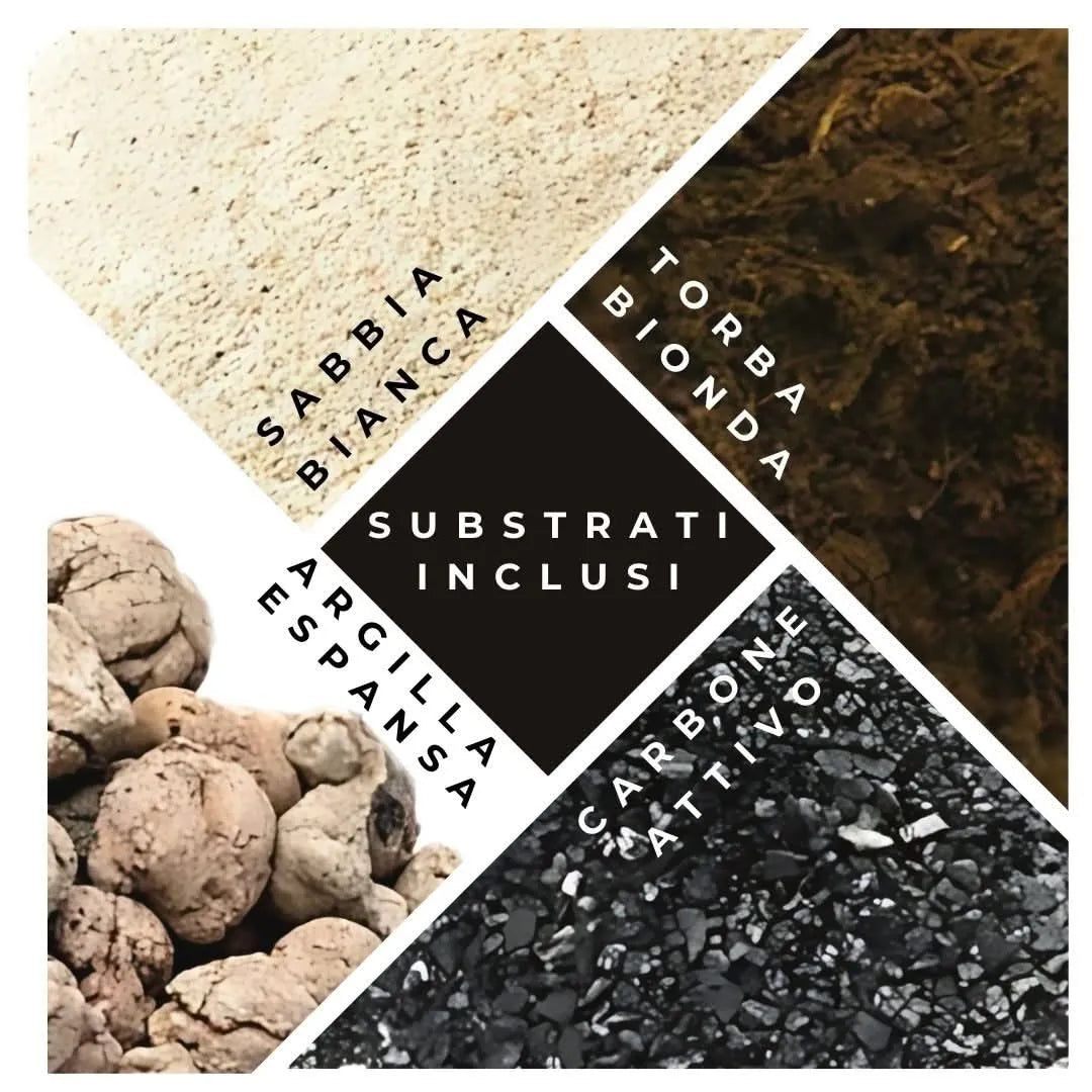 Substrati per terrarium chiuso - torba bionda, sabbia bianca, argilla espansa, carbone attivo