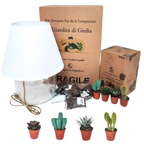Kit Terrario Lamparium Grande con plantas suculentas