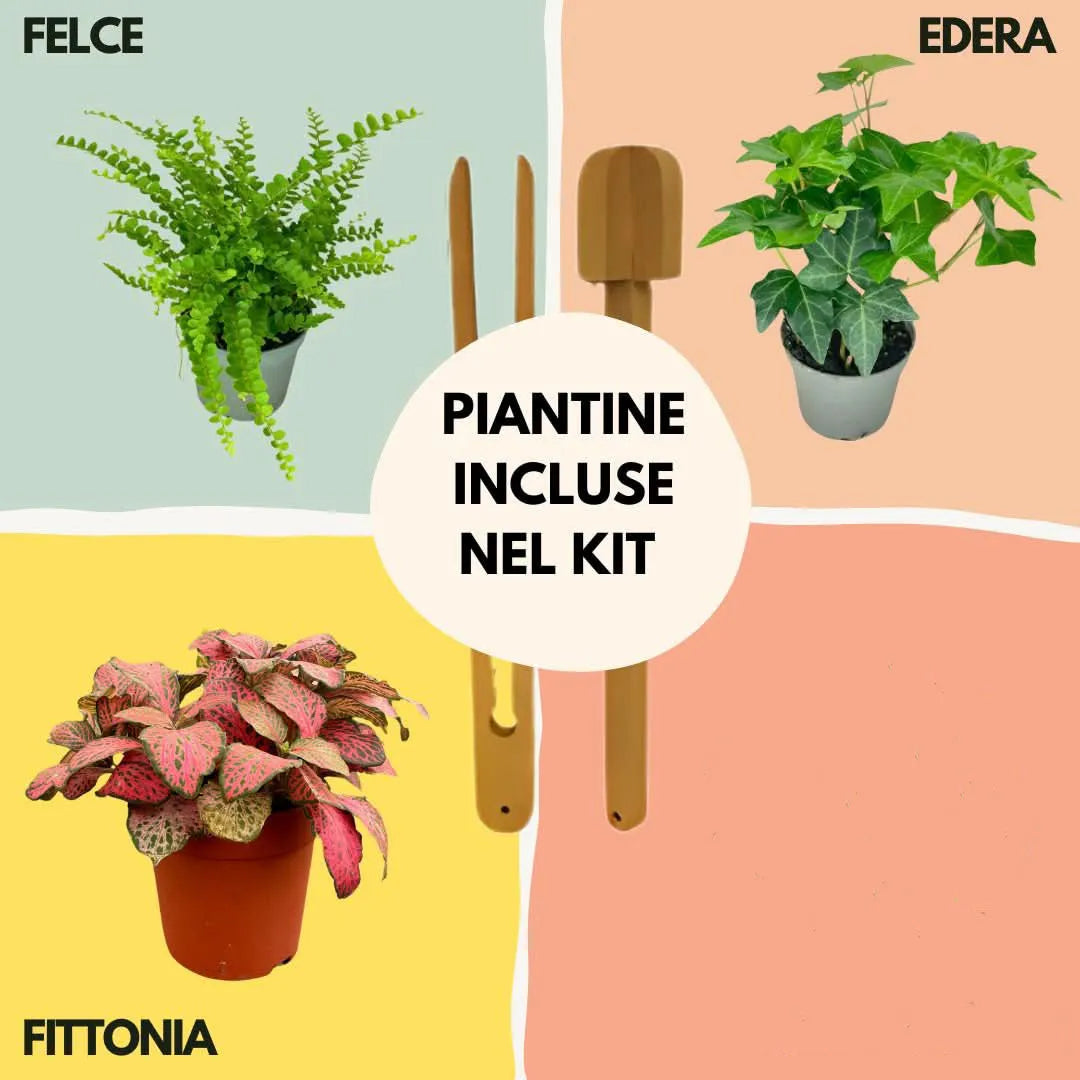 Contenitore geometrico ADA vuoto in vetro e ferro nero per terrarium