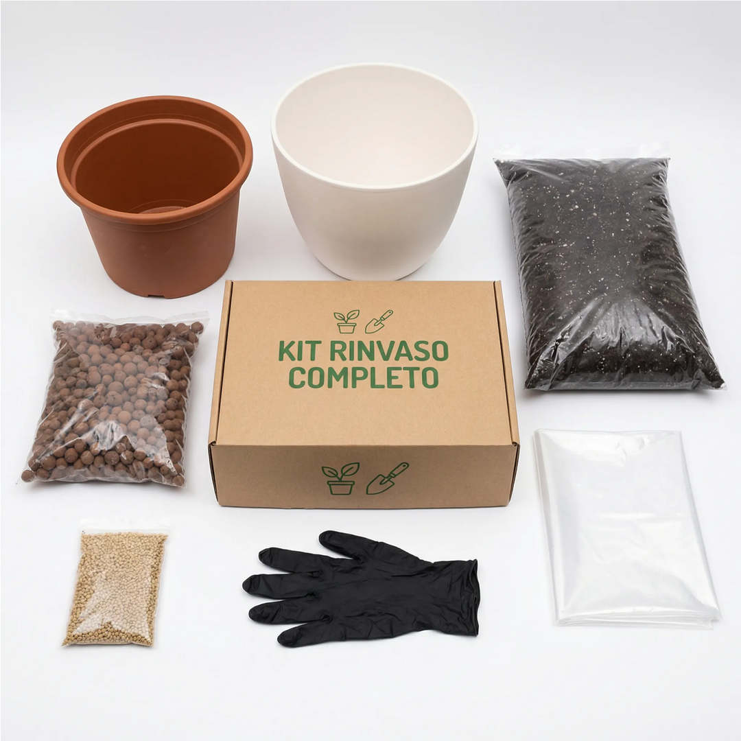 Complete Repotting Kit for Indoor Plants with Cachepot – Ø30 cm