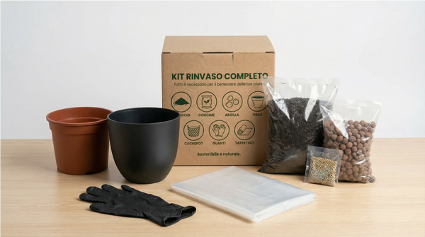 Complete Repotting Kit for Indoor Plants with Cover Pot – Ø20 cm