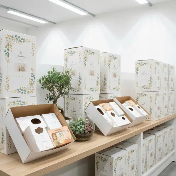 Bomboniere per eventi - assortimento di piante in vaso e scatole regalo