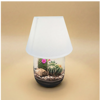 Limmagine mosta un terrarium lamparium con uno sfondo di colore beige con al suo interno piante grasse 