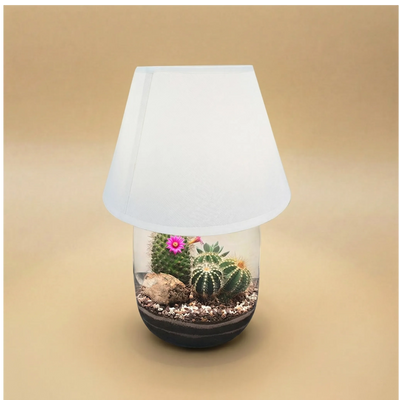 Terrarium lamparium Dune Lux Essential