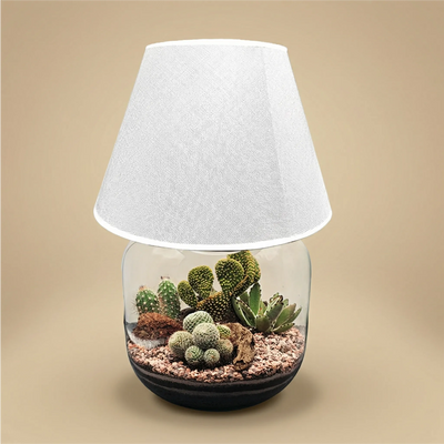 Terrarium Lamparium Martina Cactus
