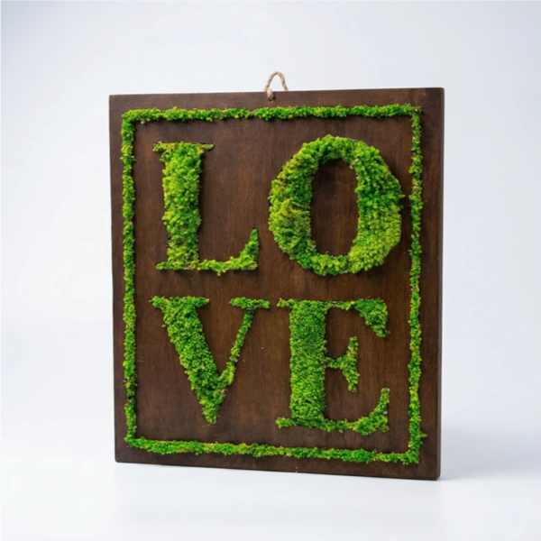 Preserved Moss Frame with LOVE Writing – 40x35 cm | Green Wall Decoration