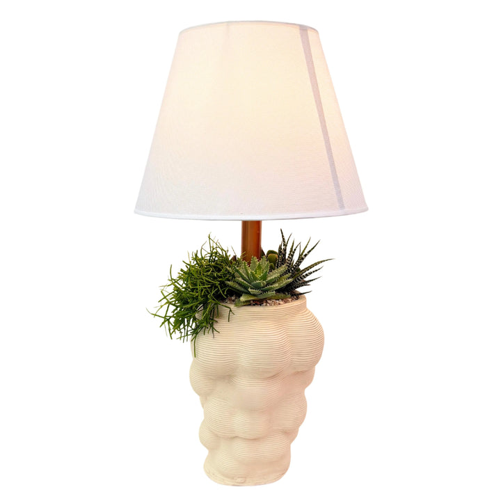 Lume con vaso in argilla bianca con piante grasse e paralume bianco 