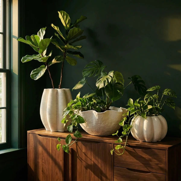 set di vasi in ceramica eleganti con piante verdi su di una consolle