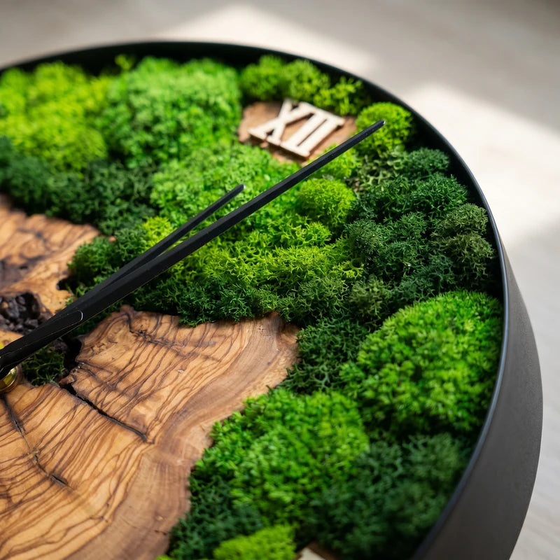 Dettaglio dell'orologio botanico Nemus con muschio, licheni e sezioni di legno d'ulivo