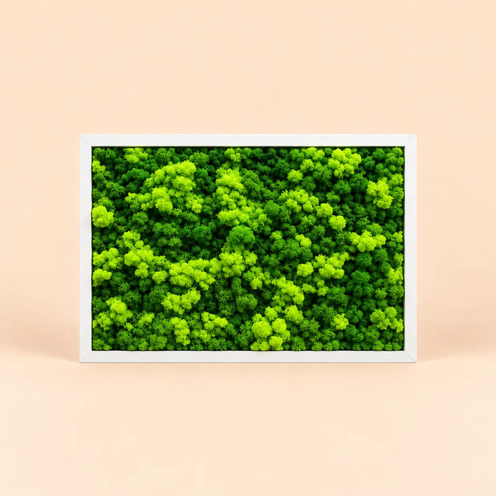 Quadro di licheni stabilizzati 45x33 cm con cornice bianca, verde stabilizzato naturale senza manutenzione