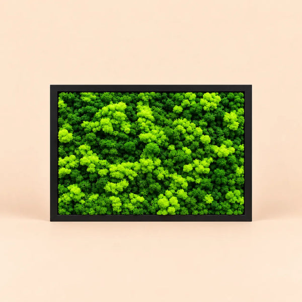 Quadro Rettangolare di Licheni Stabilizzati 45x33 cm – Cornice Nera o Bianca