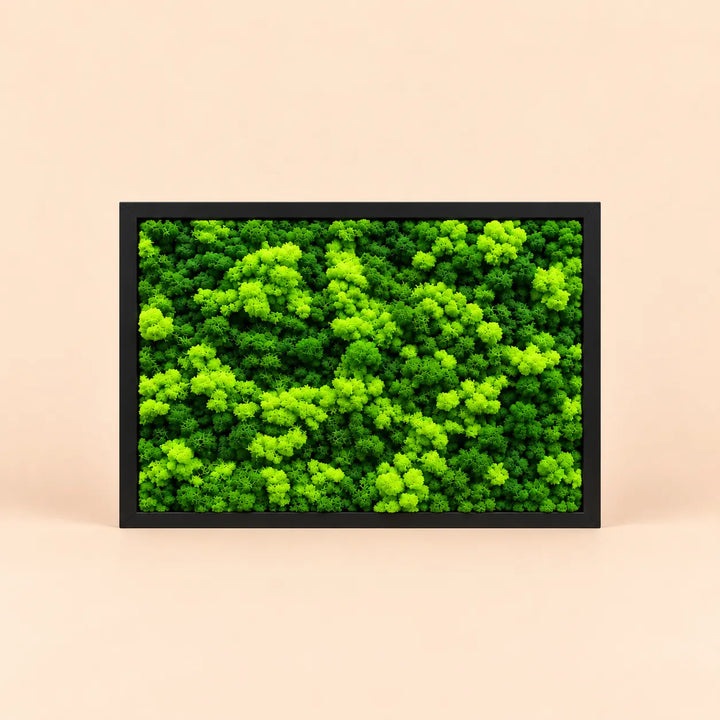 Quadro rettangolare di licheni stabilizzati 45x33 cm con cornice nera, licheni verde chiaro e verde scuro su sfondo neutro