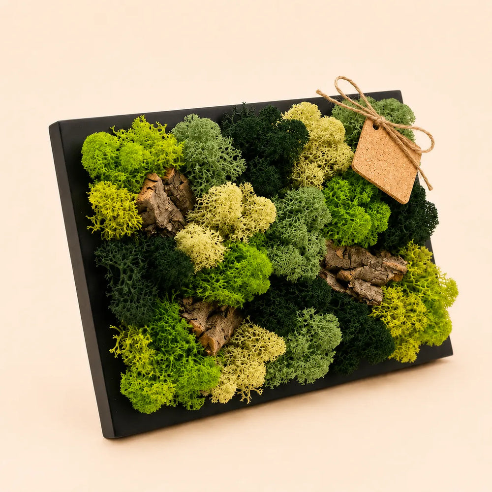 Quadro mini in muschio e licheni stabilizzati 21x27 cm con cornice nera e cartellino, verde naturale Made in Italy – I Giardini di Giulia
