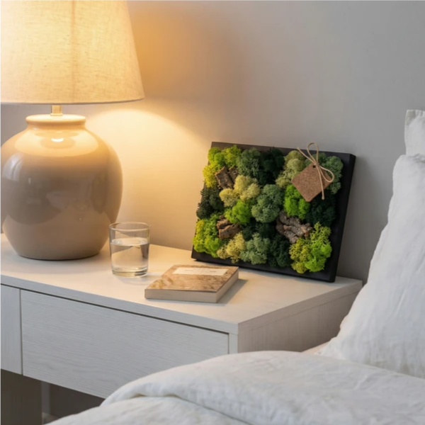 Quadro mini in verde stabilizzato 21x27 cm sul comodino della camera da letto accanto a una lampada