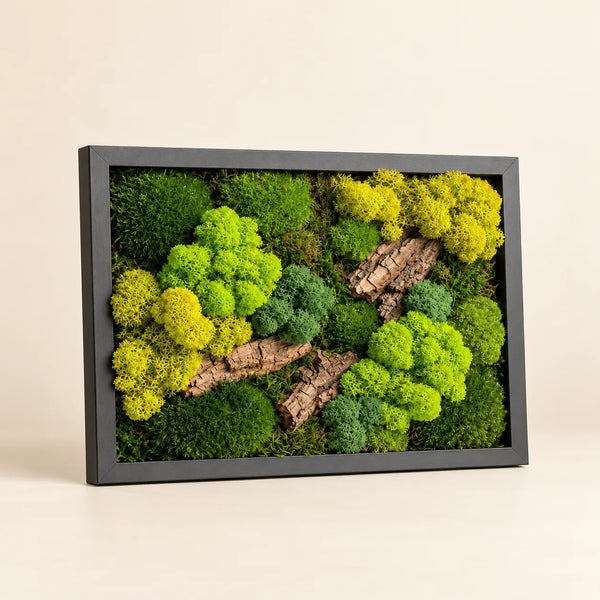 Quadro di Muschio e Licheni Stabilizzati 33x24 cm – Cornice Nera o Bianca