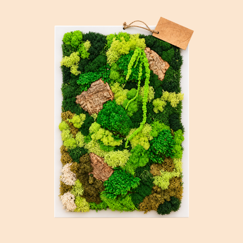 Quadro rettangolare di muschio e licheni stabilizzati 45x33 cm con cornice bianca, vari toni di verde e inserti di corteccia – I Giardini di Giulia