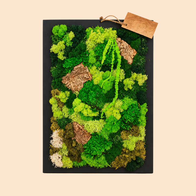 Quadro di muschio stabilizzato 45x33 cm con cornice nera, licheni verdi e corteccia naturale, verde da parete senza manutenzione