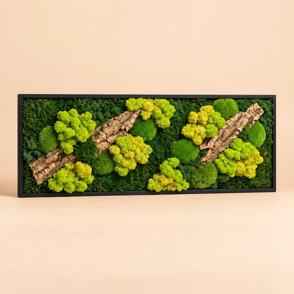 Quadro Rettangolare Muschio e Licheni Stabilizzati con Sughero – 93x33 cm | Cornice Bianca o Nera