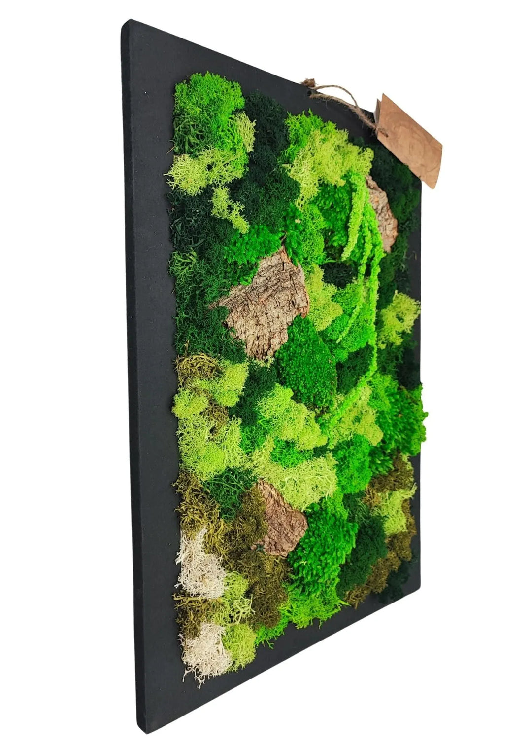 Rectangular preserved moss and lichen frame, 30x40 cm, with gift box