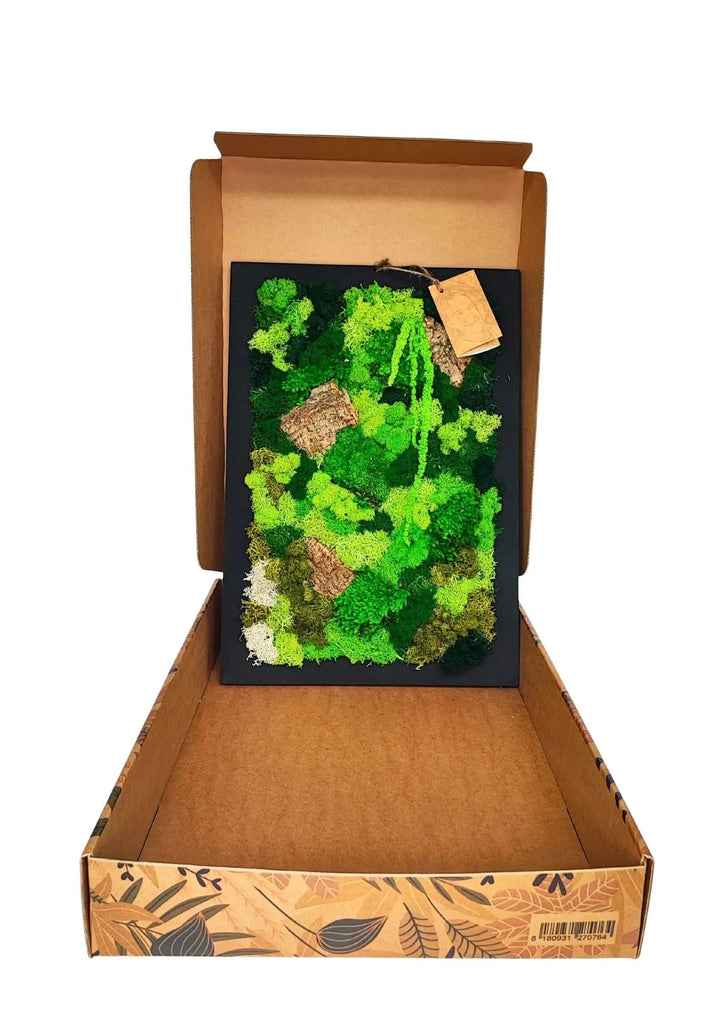 Quadro muschio stabilizzato 30x40 cm - confezione regalo premium, idea regalo elegante e sostenibile