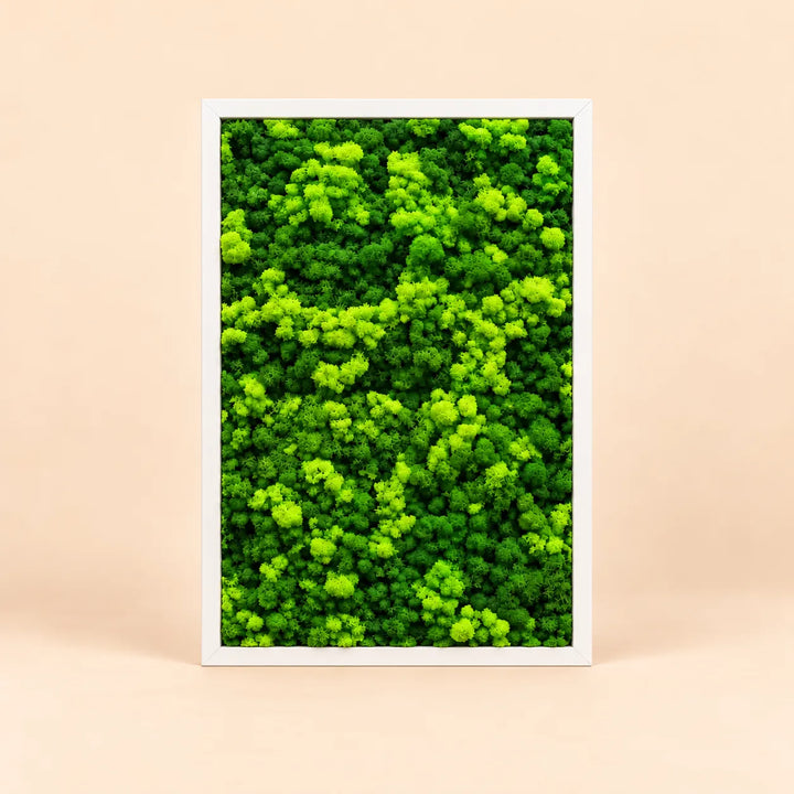 Quadro rettangolare di lichene stabilizzato 63x45 cm con cornice bianca, in verticale, nei toni del verde chiaro e scuro