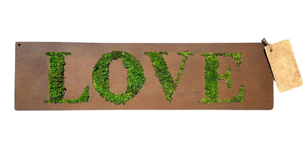 Cuadro rectangular "Love" con musgo estabilizado