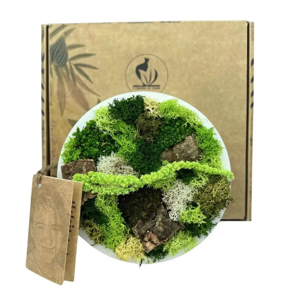 Mini round preserved white frame