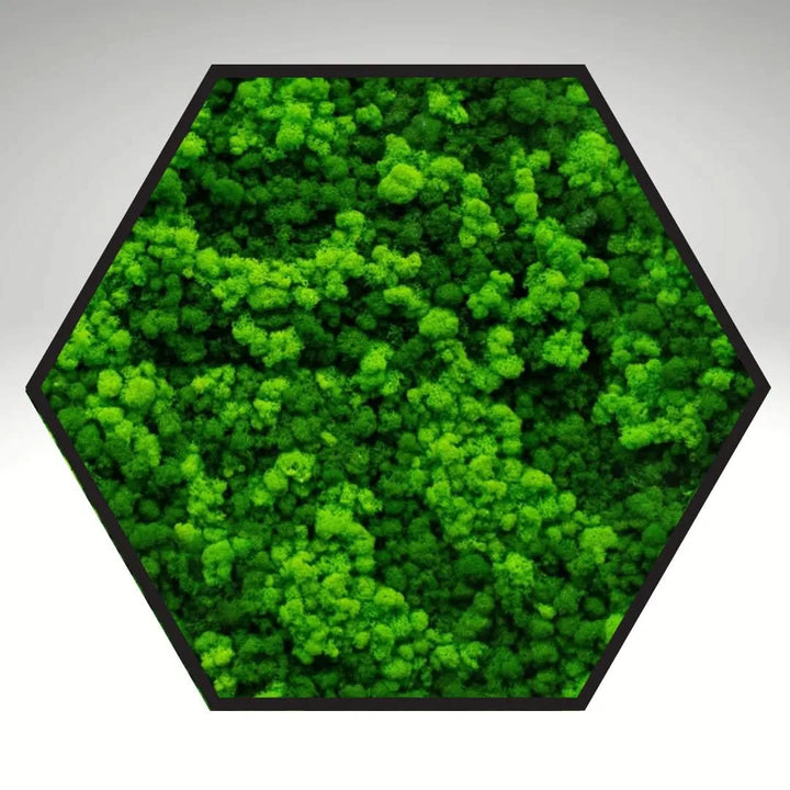Quadro verde stabilizzato esagonale con cornice nera, vista frontale