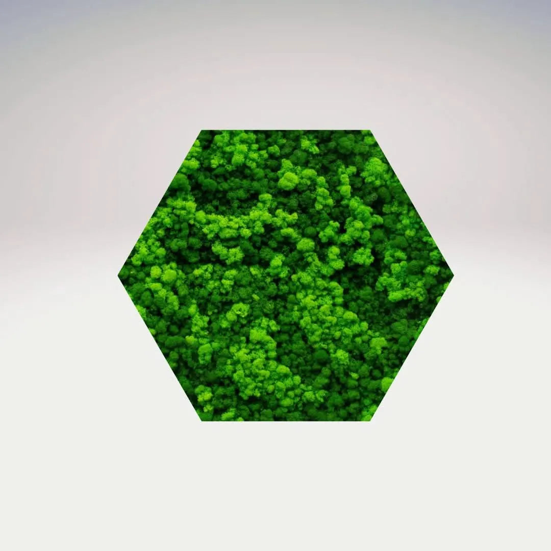 Quadro verde stabilizzato esagonale senza cornice, verde brillante