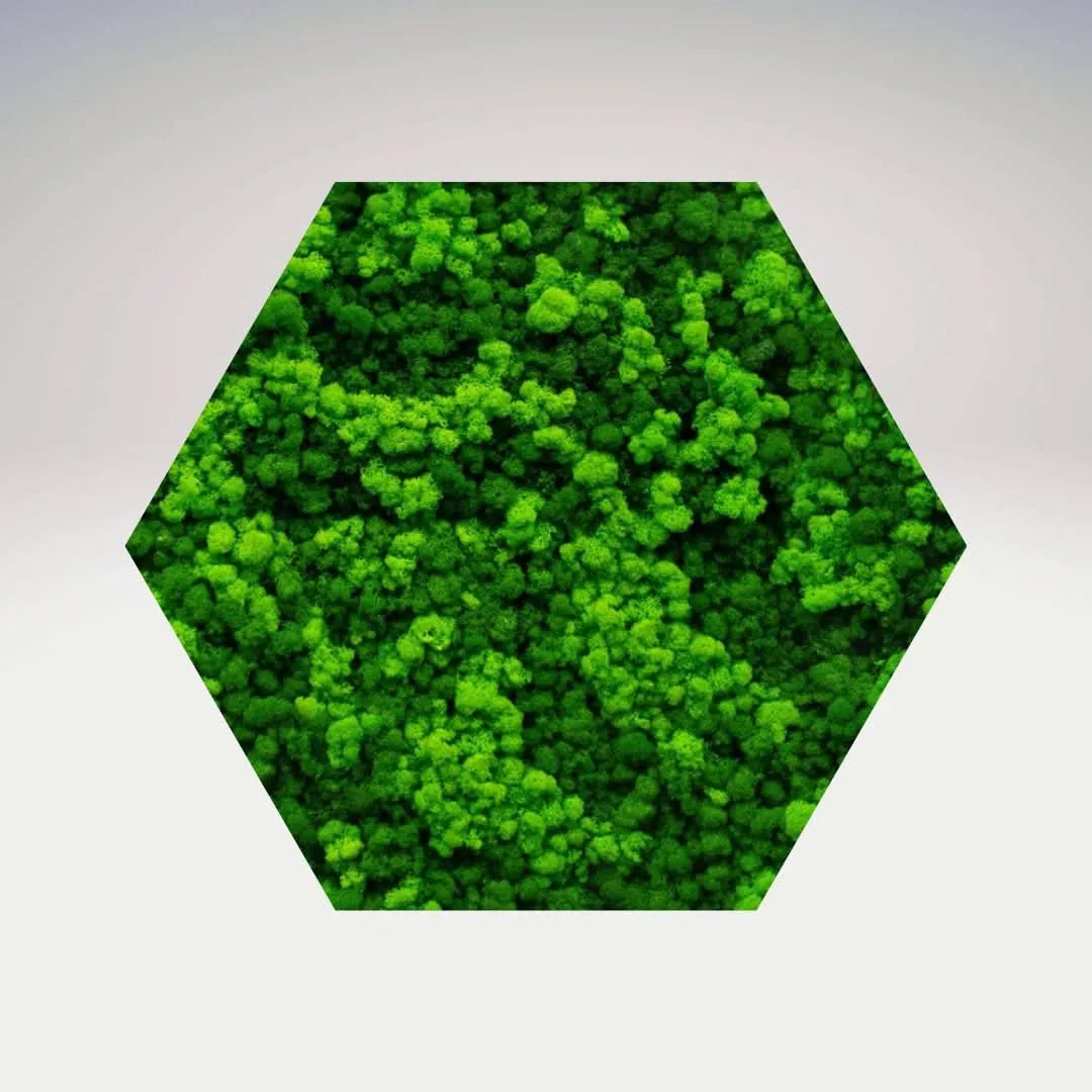 Quadro verde stabilizzato esagonale 40x40 cm senza cornice, design minimal