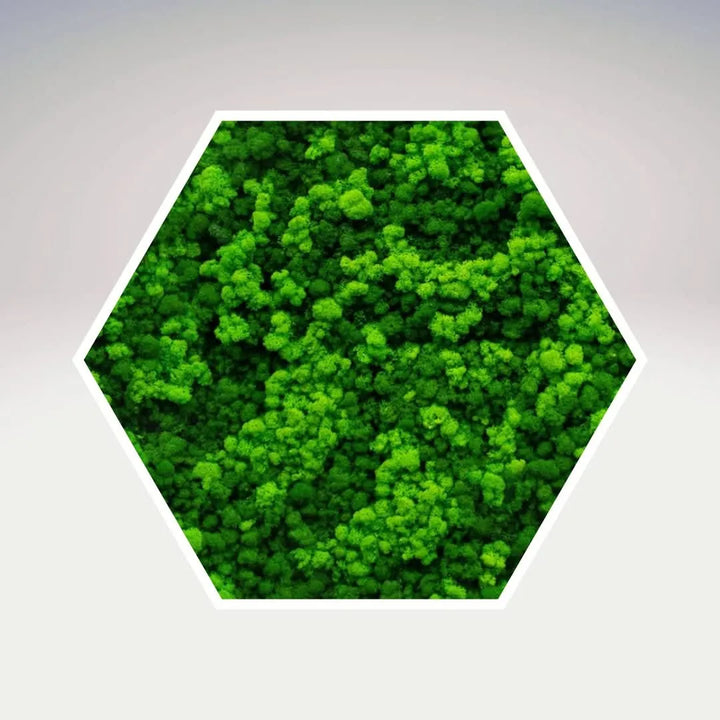 Quadro verde stabilizzato esagonale 60x60 cm cornice bianca, vista laterale