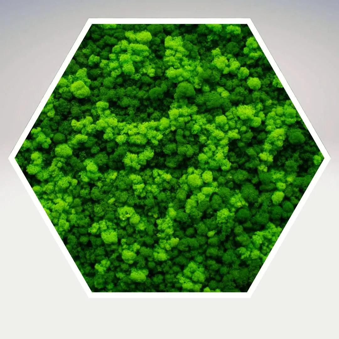 Quadro verde stabilizzato esagonale 60x60 cm con cornice bianca, arredamento