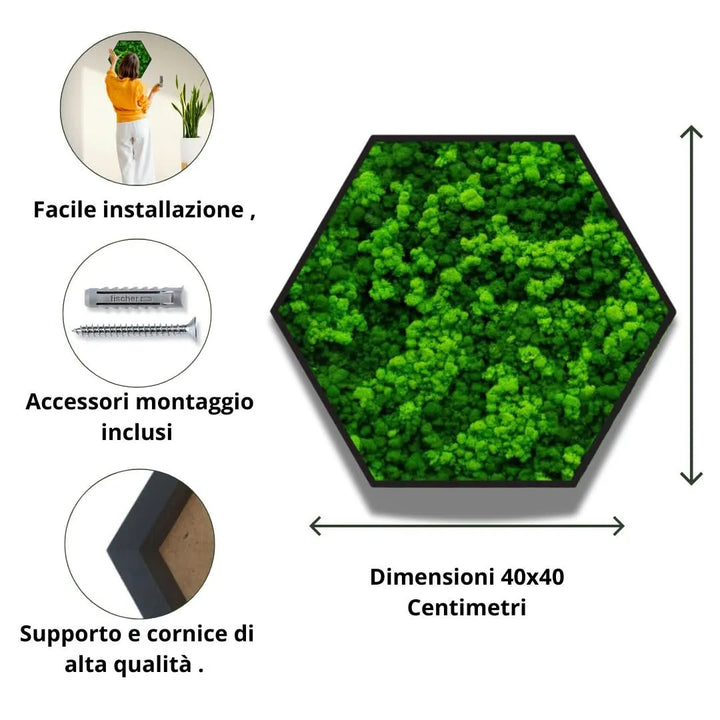 Quadro verde stabilizzato esagonale con cornice nera 40x40 cm