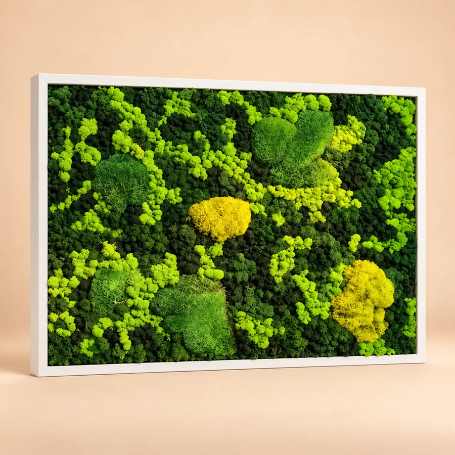 Quadro Vista Bosco 83x63 cm in muschio a palla e licheni stabilizzati con cornice bianca, nei toni del verde e del giallo