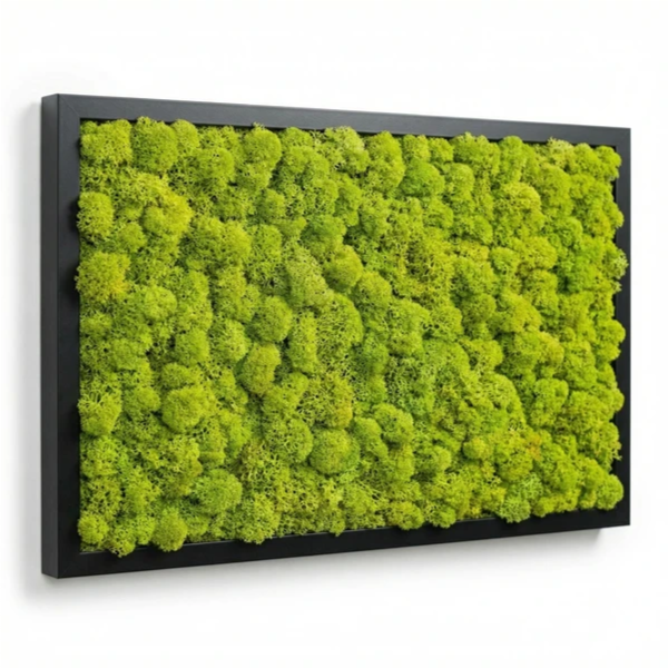 Quadro licheni stabilizzati cornice nera - variante Lime Green