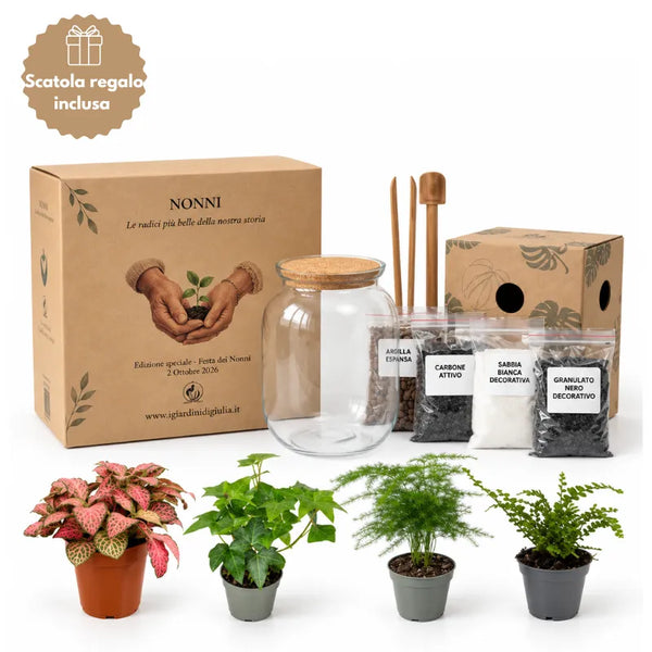 Kit Fai Da Te Terrarium Medio Completo con scatola regalo