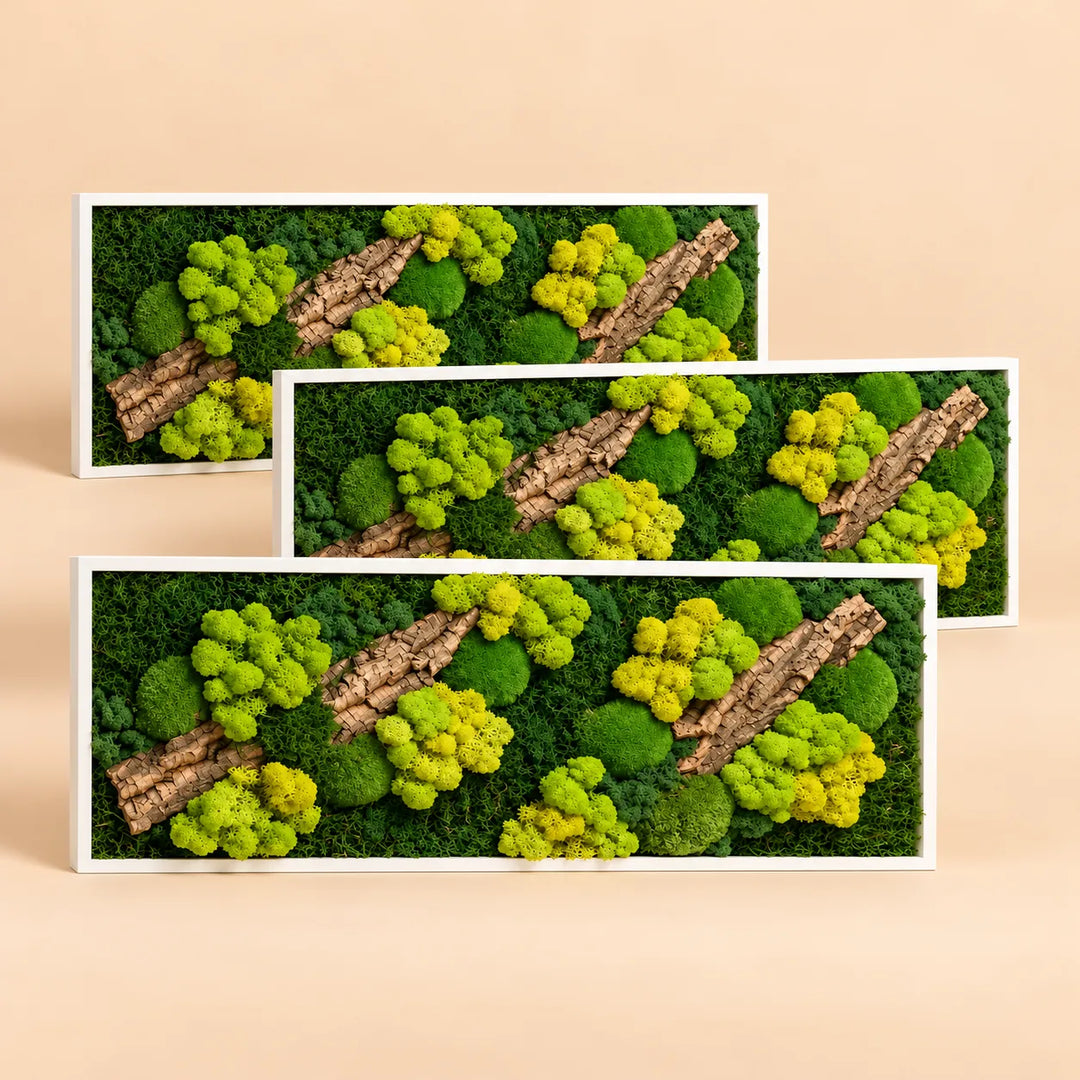 Set di 3 quadri 93x33 cm in muschio e licheni stabilizzati con sughero e cornice bianca