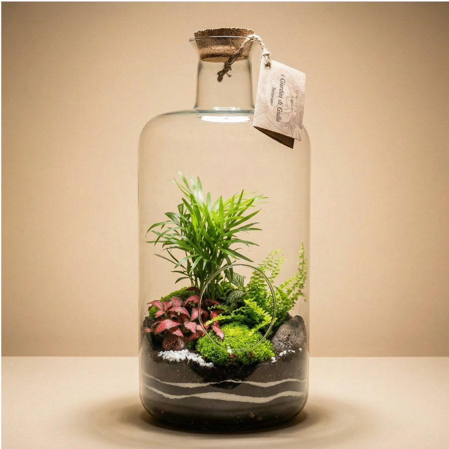 Terrarium bottiglia grande 26x50 palma tropicale fittonia rosa muschio tappo sughero