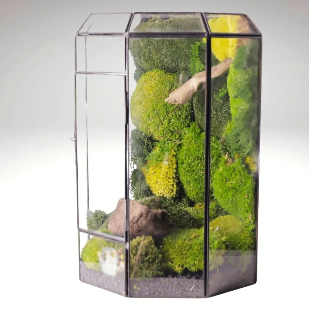 Terrarium Cascata Verde con Muschio Stabilizzato - i Giardini di Giulia
