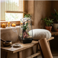 Terrarium Diamante - terrario in un angolo meditazione zen con cuscini, atmosfera rilassante