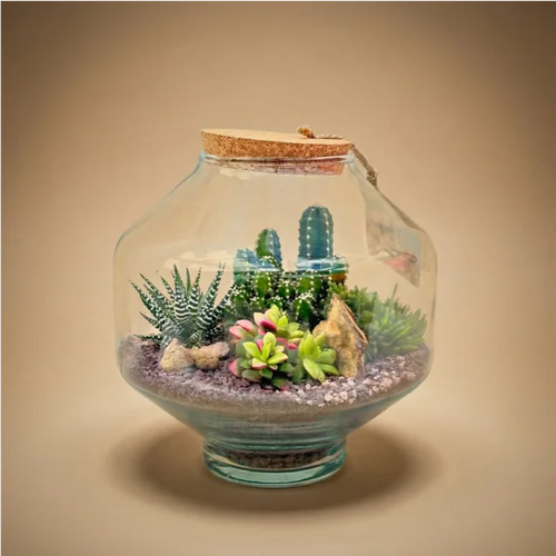 Terrarium Elia con piante grasse e cactus in vetro con tappo in sughero su sfondo beige
