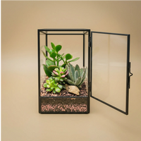 Terrarium geometrico Elisa con piante grasse
