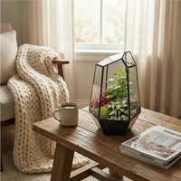 Terrarium Florine 067V - composizione di piante verdi su tavolino in soggiorno
